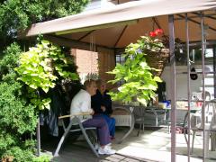 Saturday September 15, 2007 14:27 - BACK YARD ( POOLS GONE) 062.jpg